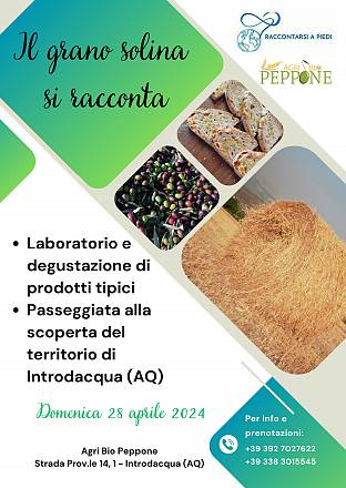 Il grano solina si racconta